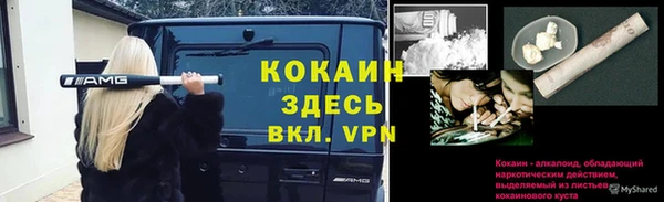 ПСИЛОЦИБИНОВЫЕ ГРИБЫ Галич