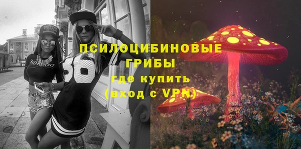 амфетамин Елизово